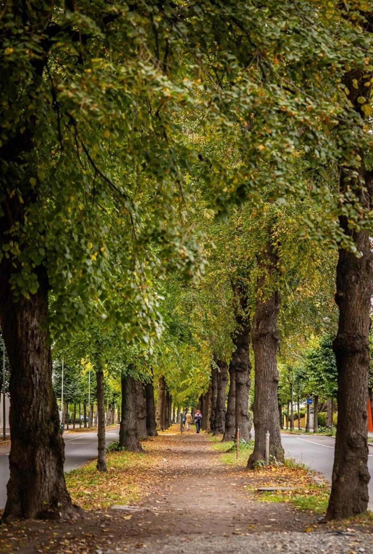 Lejlighed Stylish At Frogner